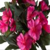 Botanic-Haus Artificial Busy Lizzie (Impatiens) in Black Plastic Pot, Rose view 2
