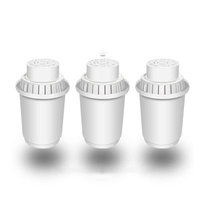 Under-Sink Water Filtration System with Mineral-Alkaline Ionizer