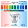 Under-Sink Water Filtration System with Mineral-Alkaline Ionizer view 4