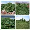 GueTTO Camouflage Net, 1–15 m, Army Woodland, Camping, Sun Shade view 4