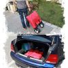Portable Folding Garden Cart, 75 kg Capacity view 2