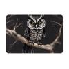 KONJEELIO Owl Doormat for Indoor and Outdoor Use, 60 x 40 cm view 1