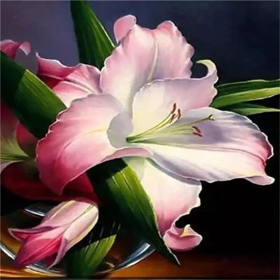 Lituor Pink Lily Paint by Numbers Kit, 55 × 70 cm, Unframed