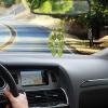 Raypontia Crochet Hanging Plant for Car, 20–25 cm, Boho Car Mirror Decor view 4