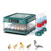 Automatic Incubator, 24/36 cm, with Automatic Egg Turning and Temperature Control, for Chicken and Quail Eggs (36 Eggs) view 1
