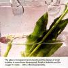 Glass Handbag Vase for Flowers, Style 1, Transparent view 3
