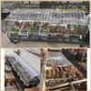 PIPRE 3.9 m x 3.9 m Clear PVC Tarp, 400 g/m², 0.35 mm, Waterproof Cover with Rope view 2