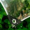 PIPRE 2.5 x 4.2 m Clear PVC Tarp with Eyelets view 2