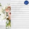 Jalousiescout Klemmfix Pleated Blind 115 x 110 cm, White view 4