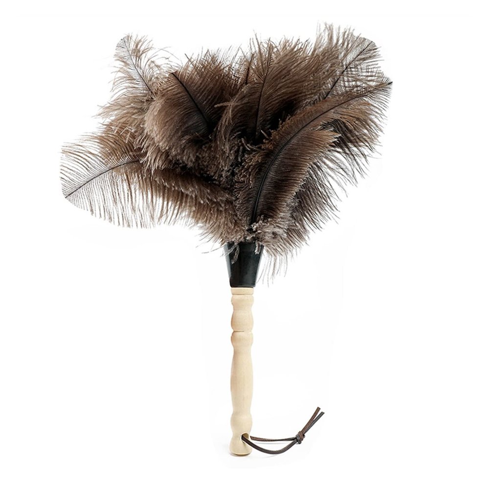 Ostrich Feather Duster with Wooden Handle