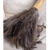 Ostrich Feather Duster with Wooden Handle view 2