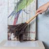 Ostrich Feather Duster with Wooden Handle view 3