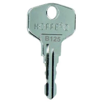 bayesen Replacement Key, Key Copy - Precisely Milled, Compatible with BURG-WÄCHTER - Fits Mailboxes, Cam Locks and Furniture Locks [Code B100]