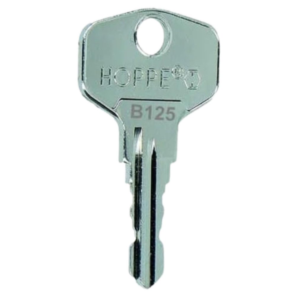 bayesen Replacement Key, Key Copy - Precisely Milled, Compatible with BURG-WÄCHTER - Fits Mailboxes, Cam Locks and Furniture Locks [Code B100]