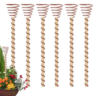 Long Copper Spiral Support Stakes