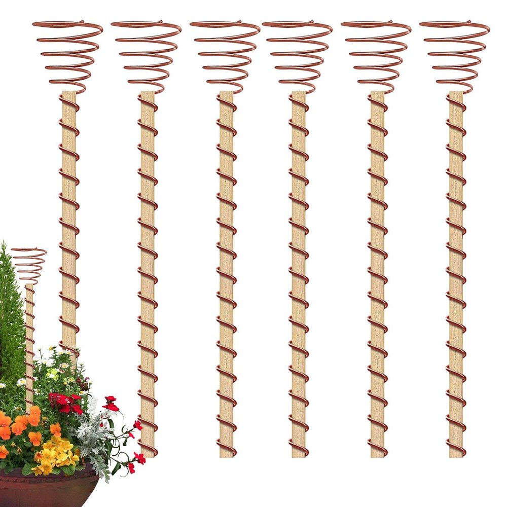 Long Copper Spiral Support Stakes