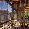 Bamboo Roller Blind, Outdoor Privacy Shade, 100 × 160 cm view 2