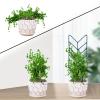 Xujuika Metal Plant Trellis for Indoor Climbing Plants, 30.5 cm view 3