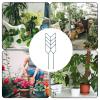 Xujuika Metal Plant Trellis for Indoor Climbing Plants, 30.5 cm view 4