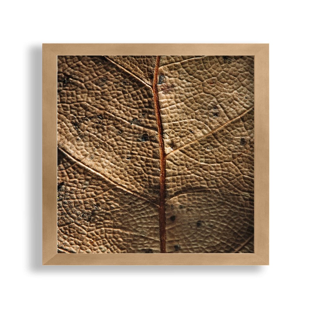 VO Design Finn Wood Frame for 20 x 70 cm Picture, Bronze, Acrylic Glazing
