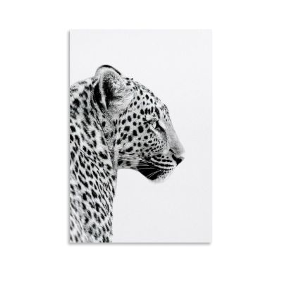 TSIDDKA Leopard Poster, Modern Aesthetic Wall Art, 60 x 90 cm, Unframed