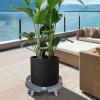 Generic Plant Pot Stand with Wheels, Indoor and Outdoor view 2