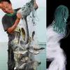 ZiYouao Monofilament Fishing Net, Single-Mesh Nylon Float Net, 1 Finger, 8 m x 0.8 m view 2
