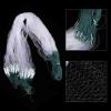 ZiYouao Monofilament Fishing Net, Single-Mesh Nylon Float Net, 1 Finger, 8 m x 0.8 m view 4