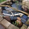 Garden Pond Liner, Flexible HDPE, 10 x 12 m view 2