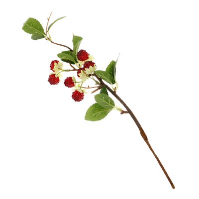 Warmhm Artificial Plastic Raspberry Decoration