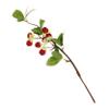 Warmhm Artificial Plastic Raspberry Decoration view 1