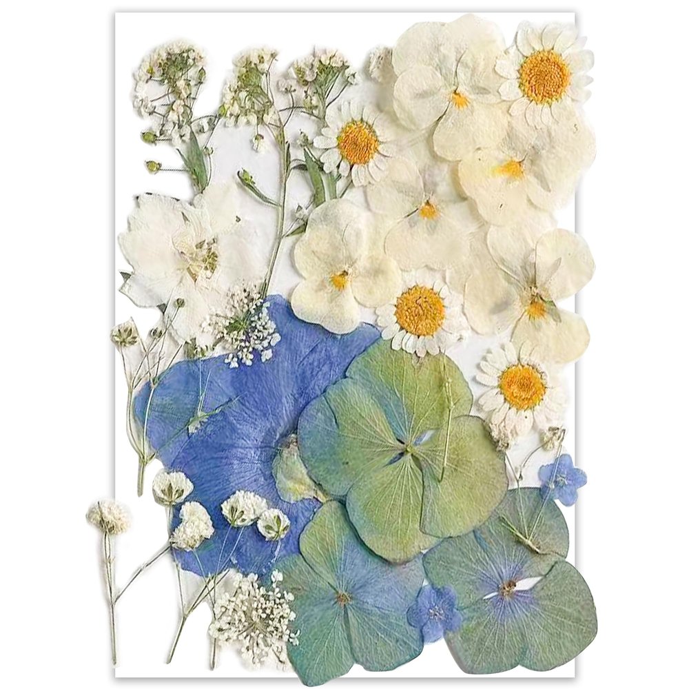 YoothBro Dried Pressed Flowers for Resin Molds and DIY Crafts