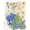YoothBro Dried Pressed Flowers for Resin Molds and DIY Crafts view 1