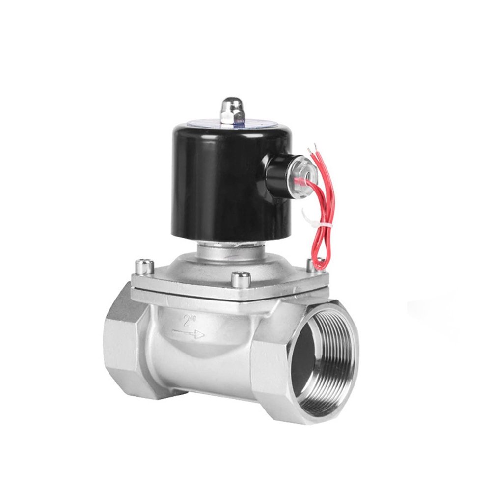 2-Inch Stainless Steel Water Solenoid Valve, Normally Closed, 220 V, 12 V, 24 V, 110 V (Color: Bsp-24vdc-nbr-seal, Size: 2)