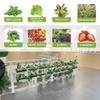 Hanging Balcony Planter, Vertical Wall Planter and Railing Plant Holder view 3