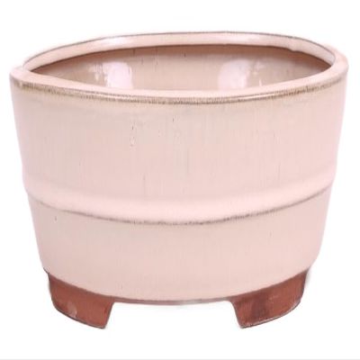 Generic Bonsai - Oval Bonsai Pot 31.5 x 24 x 8 cm, Cream 40445