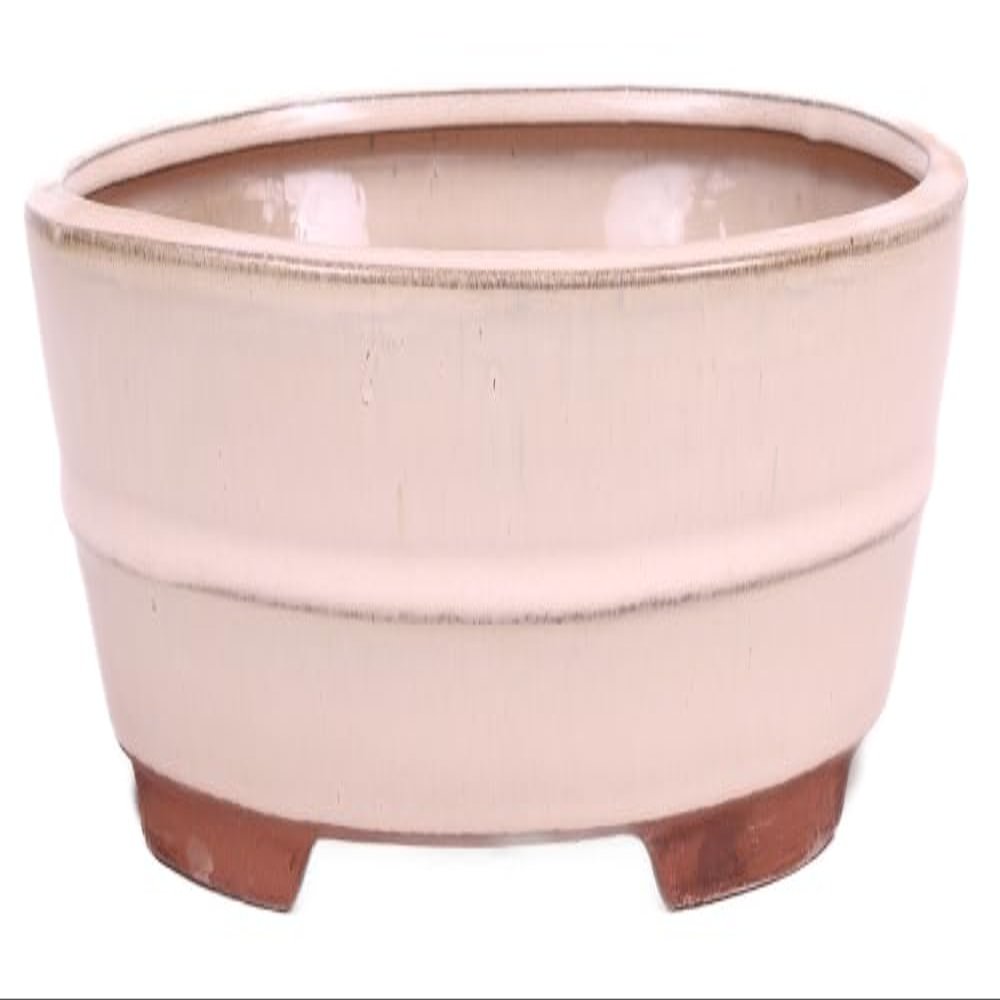 Generic Bonsai - Oval Bonsai Pot 31.5 x 24 x 8 cm, Cream 40445