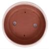 Generic Bonsai - Oval Bonsai Pot 31.5 x 24 x 8 cm, Cream 40445 view 2