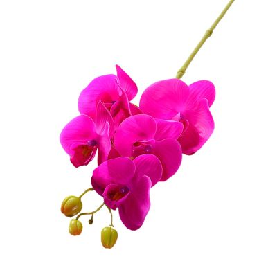 pofluany Artificial Phalaenopsis Orchid Branch, 70 cm, Dark Purple