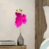 pofluany Artificial Phalaenopsis Orchid Branch, 70 cm, Dark Purple view 2