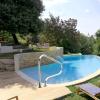 BomDog Pool Handrail, 304 Stainless Steel view 4