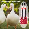 Shurzzesj Adjustable Reusable Diapers for Ducks and Chickens view 3