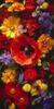 5D Flower Diamond Painting Kit, Full Drill, XXL 24 x 48 in, DIY Diamond Art for Adults, SP-1839 view 2