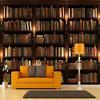 Bookshelf Bookcase 3D Wallpaper Wall Decoration Photo Wallpaper for Sofa Living Room Bedroom, 430 x 300 cm view 1