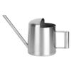 Tiny 300 mL Stainless Steel Watering Can with Long Spout for Indoor Plants view 1