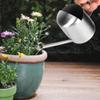 Tiny 300 mL Stainless Steel Watering Can with Long Spout for Indoor Plants view 3