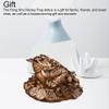 Dianzan Lucky Frog Statue – Feng Shui Money Frog Ornament view 3