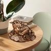 Dianzan Lucky Frog Statue – Feng Shui Money Frog Ornament view 4