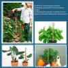 MOUMOUTEN Copper Electroculture Plant Stakes view 4