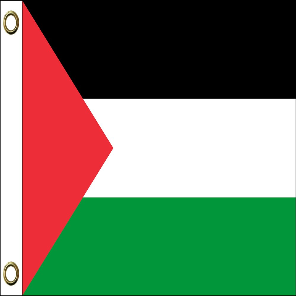 Palestine Flag | 150 x 90 cm | Weather-Resistant & Durable | Polyester with Two Eyelets